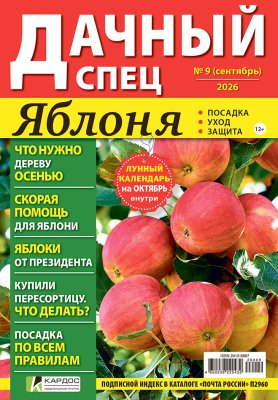 Дачный спец